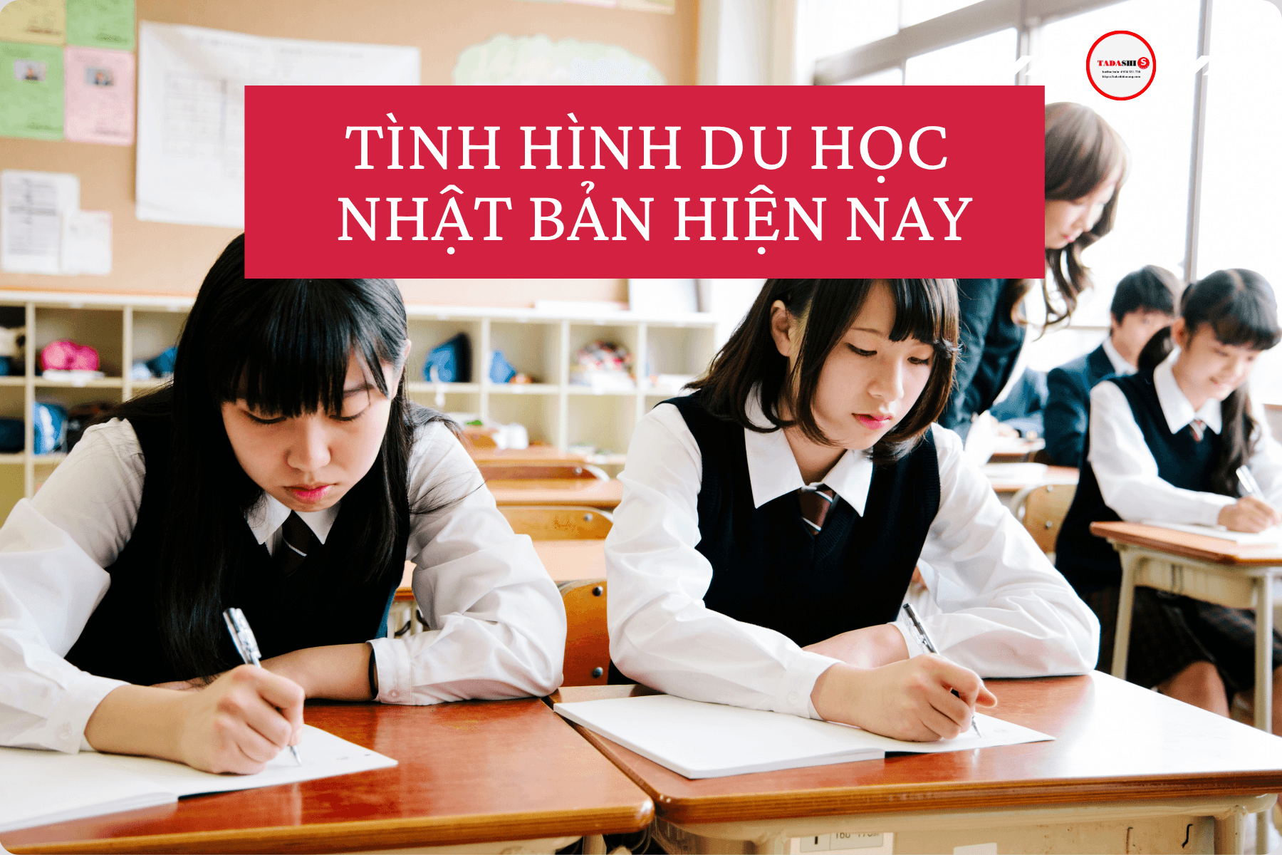 Tình hình du học Nhật Bản hiện nay: Cập nhật mới nhất từ Tadashi Đà Nẵng